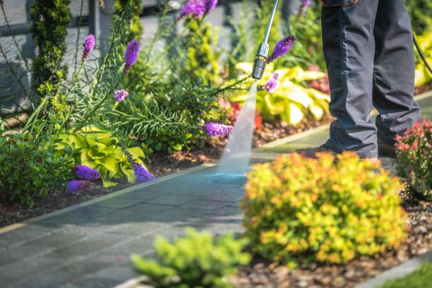 Best Driveway Pressure Washing  in Oakmont, PA